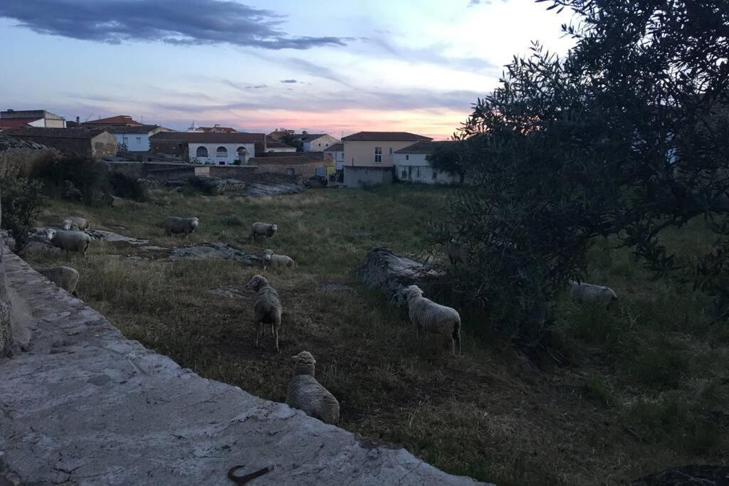 Plasenzuela Casa - Apartamento Rural La Tahona Del Abuelo מראה חיצוני תמונה