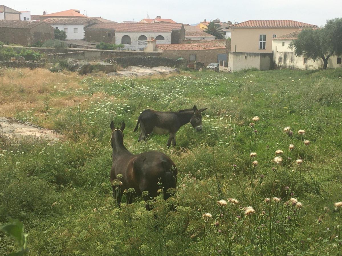 Plasenzuela Casa - Apartamento Rural La Tahona Del Abuelo מראה חיצוני תמונה