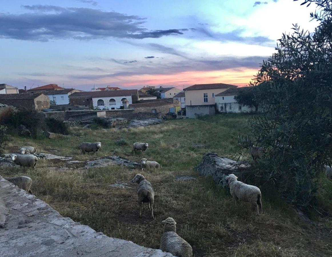 Plasenzuela Casa - Apartamento Rural La Tahona Del Abuelo מראה חיצוני תמונה
